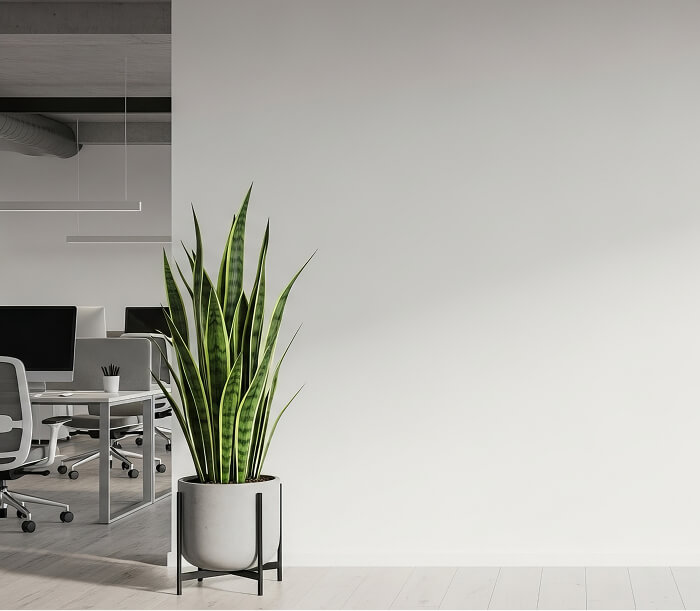 事務所イメージ